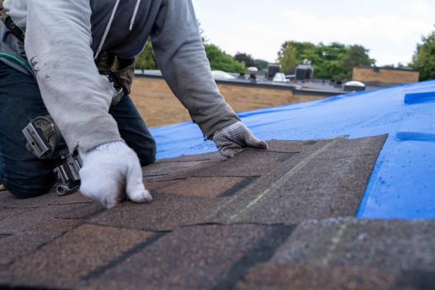 Best Roof Waterproofing Services  in Lake View, AL