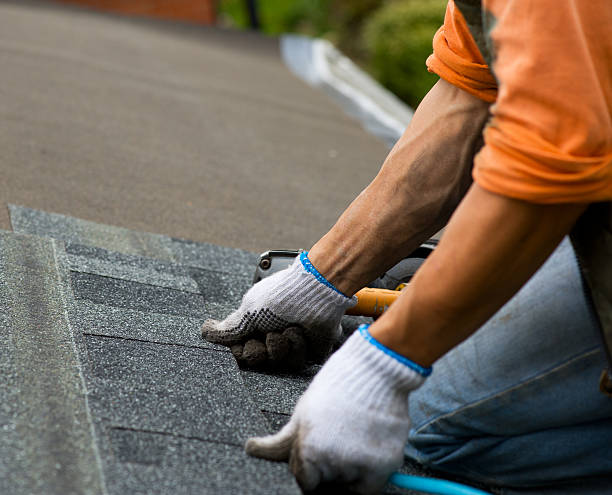 Best Roof Gutter Cleaning  in Lake View, AL